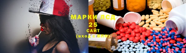 хмурый Инсар