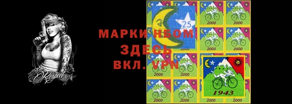хмурый Инсар
