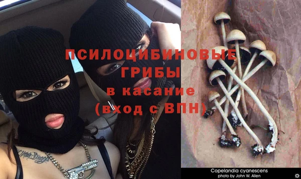 скорость Инта