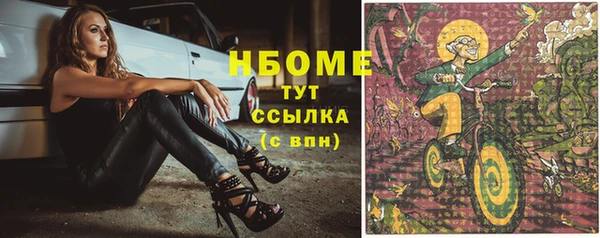 тгк Каменка
