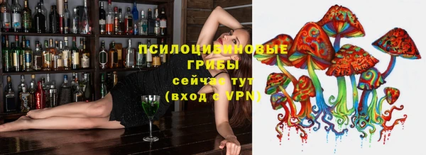 хмурый Инсар