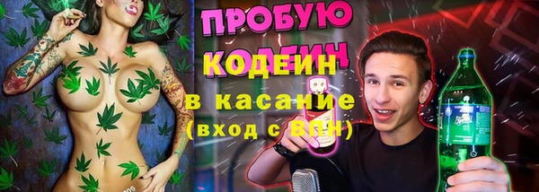 мдпв Иннополис